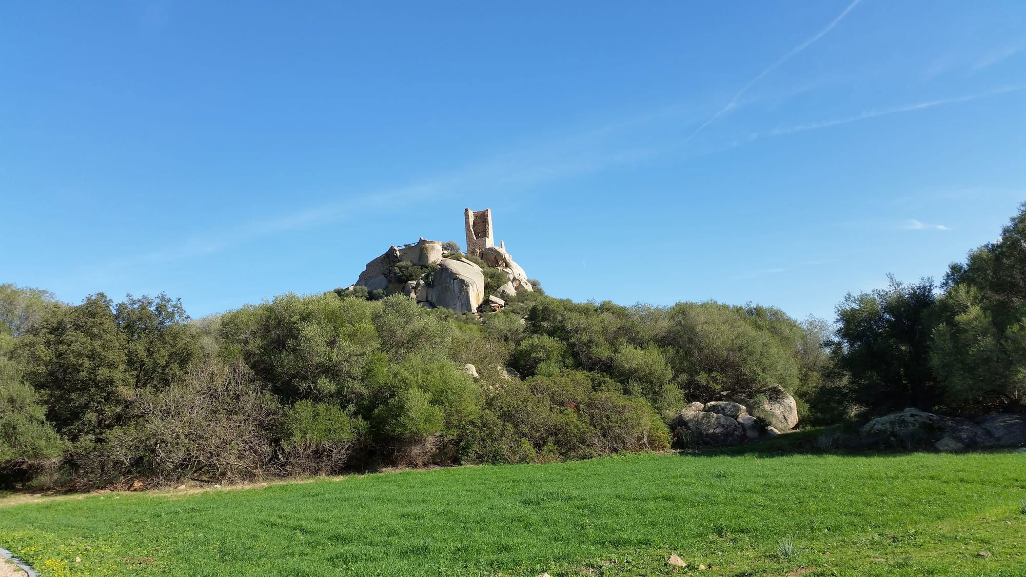 Olbia