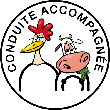 Conduite accompagnée