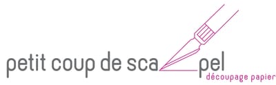 Le petit coup de scalpel