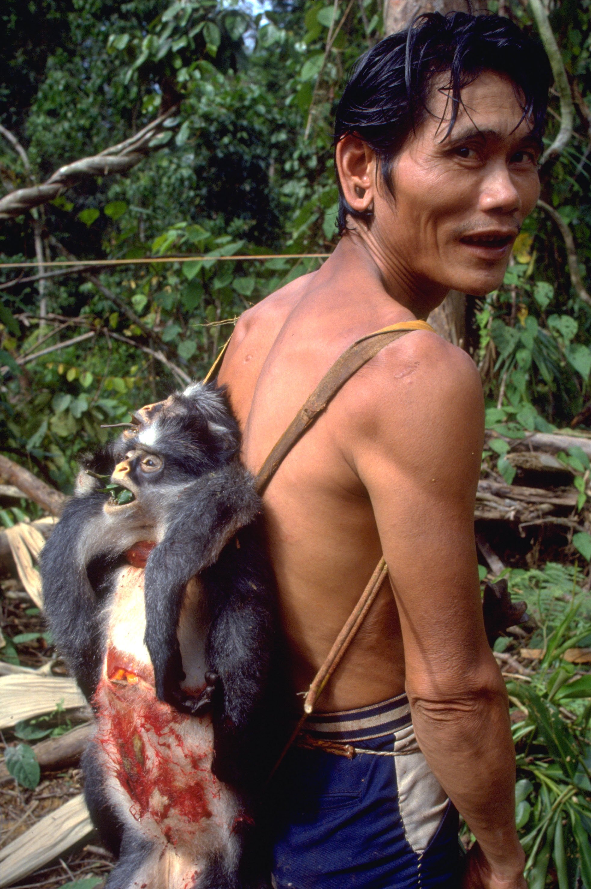 Borneo's Hunters & Gatherers