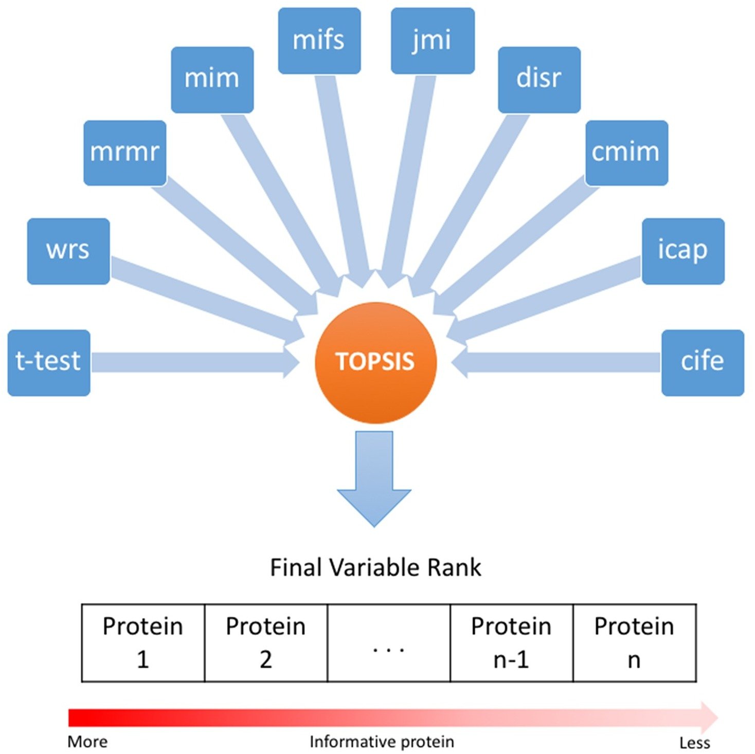 A novel feature ranking method for prediction of cancer stages using proteomics data