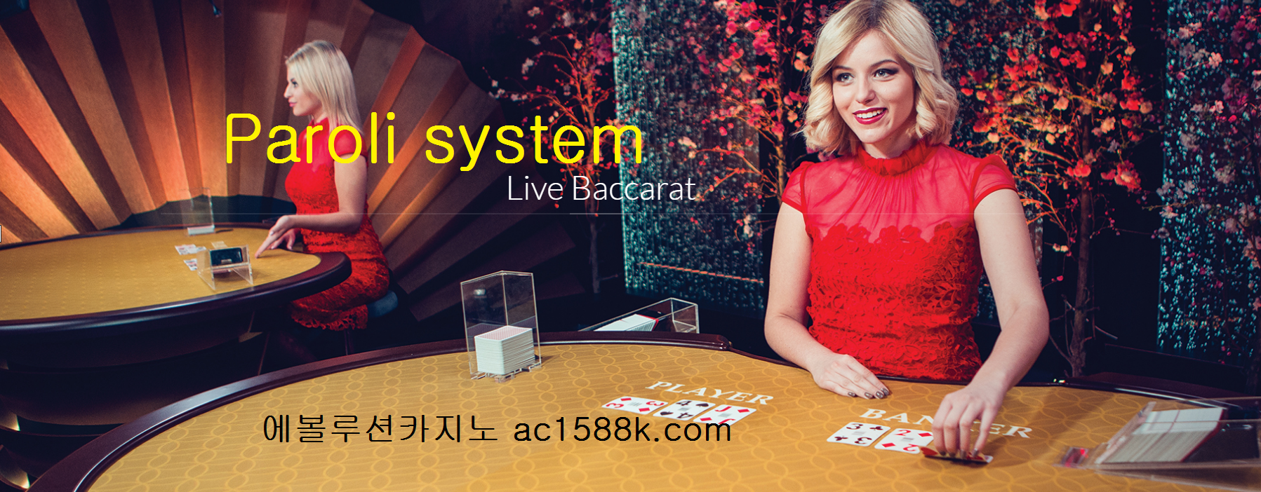 바카라 파로리 배팅시스템 https://acboss33.net/