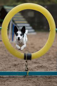 Agility