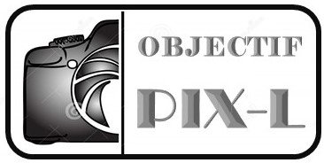 Objectif Pix-L