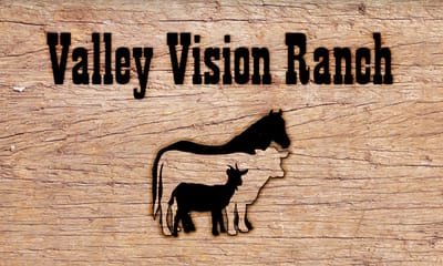 Valley Vision Ranch