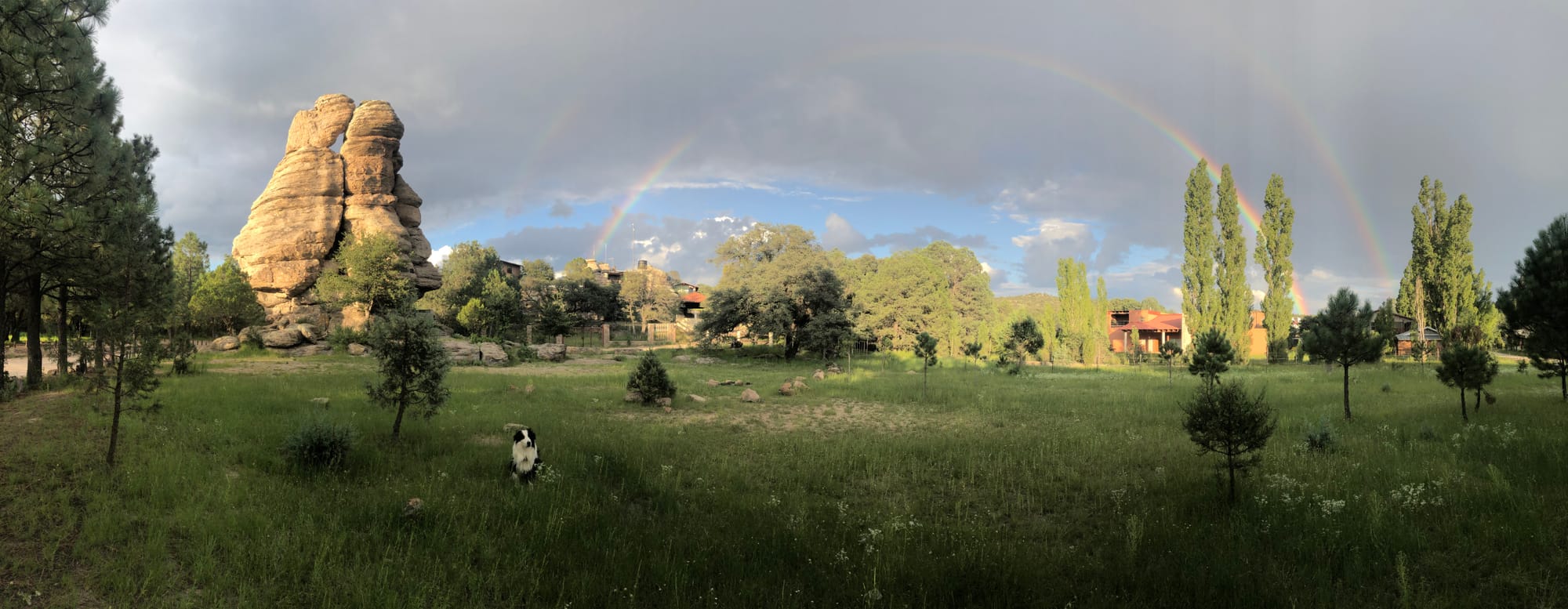 EL NIDO DEL CARPINTERITO