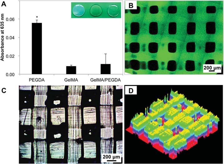 Enhanced neural stem cell differentiation in 3D printed scaffolds with light stimulation