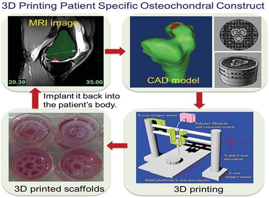 Integrating 3D Bioprinting and Biologically Inspired Nanomaterials for Complex Tissue Regeneration