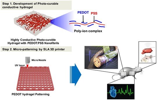 Fabrication of highly conductive hydrogel-patterned nanofiber for bioelectronics device applications