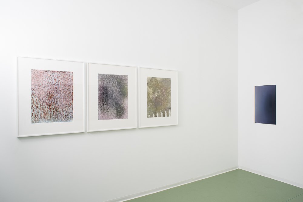 Body I, II, III,  Installation view,  Scanning and printing, Variable dimensions, 2015