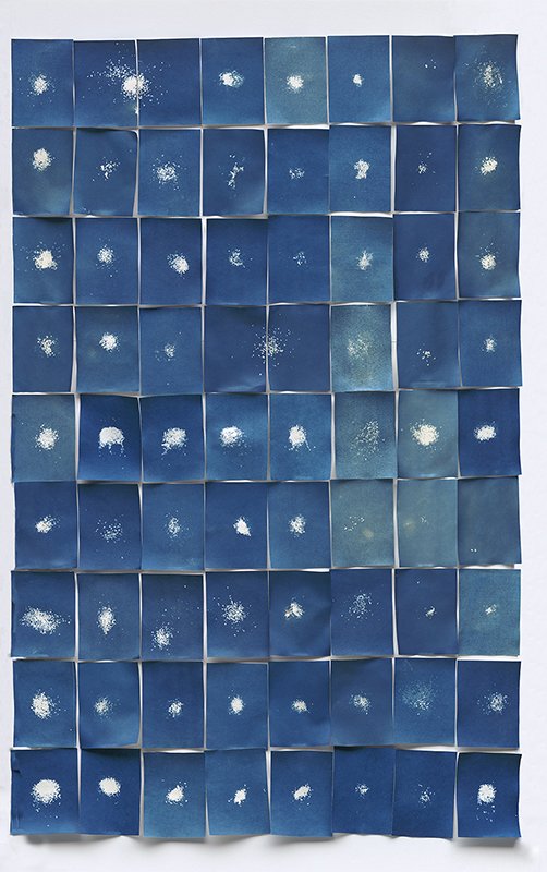 ״Epidermis” I, 160  x 110 cm, Cyanotype, scanning, 2018