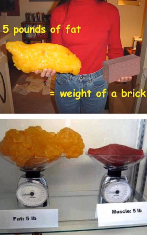 5lb fat = weight of a brick - My journey back to 'Me'