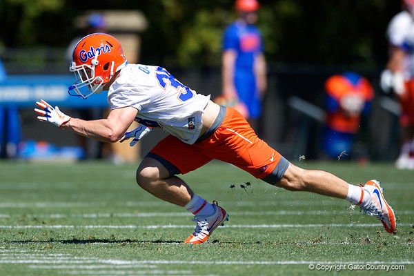 Anthony Giglia: University of Florida