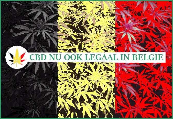 CBD olie ook legaal in België
