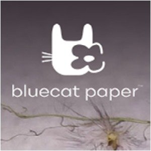 Bluecatpaper