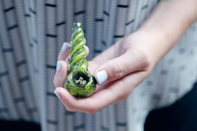 thecannabisblog image