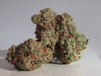 allaboutcannabis image