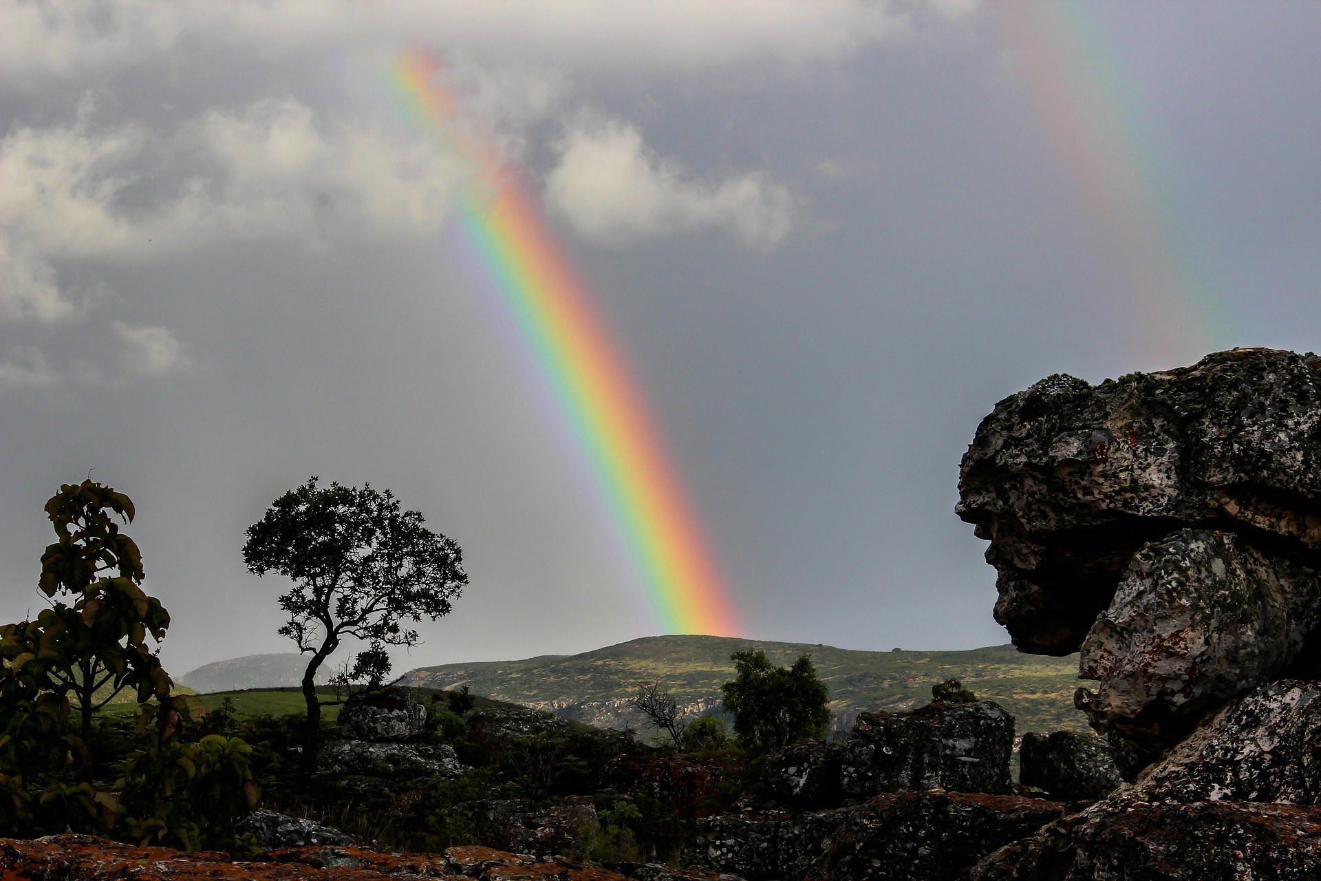 Have We All Descended From Noah?