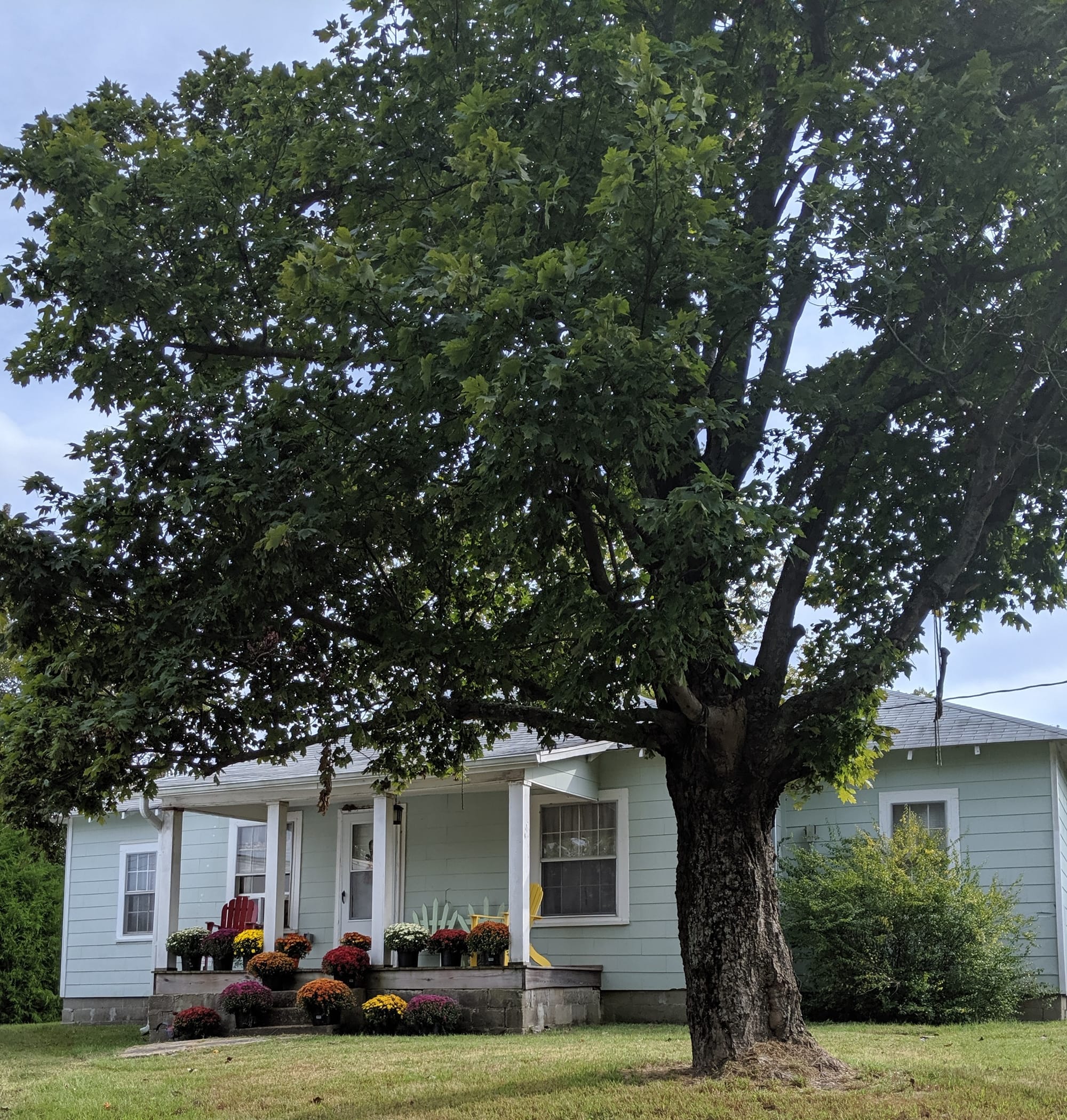 tucker properties LLC