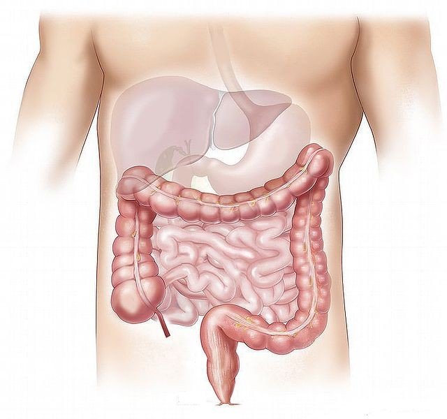 Chirurgia oncologică a tubului digestiv