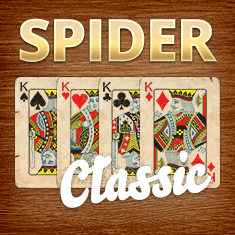 Spider Solitaire Classic Board Game