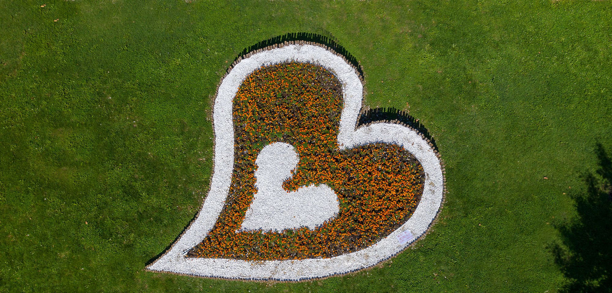 Coeur en fleur de la Mairie de Decines-Charpieu