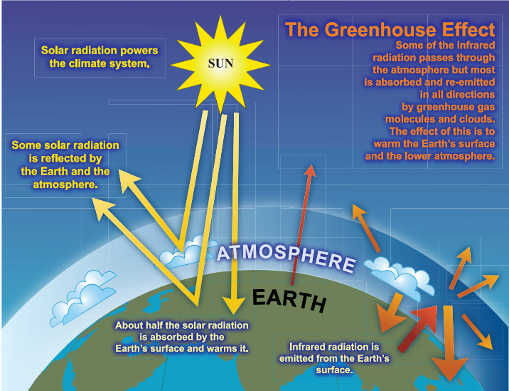 Greenhouse Effect and Climate Sensitivity