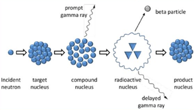 Neutron Activation image