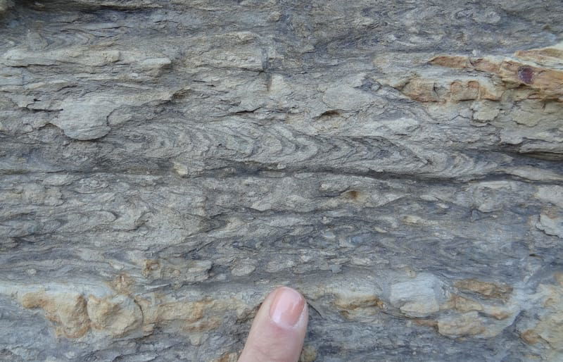 Invertebrate trace fossils from Southern Brazil