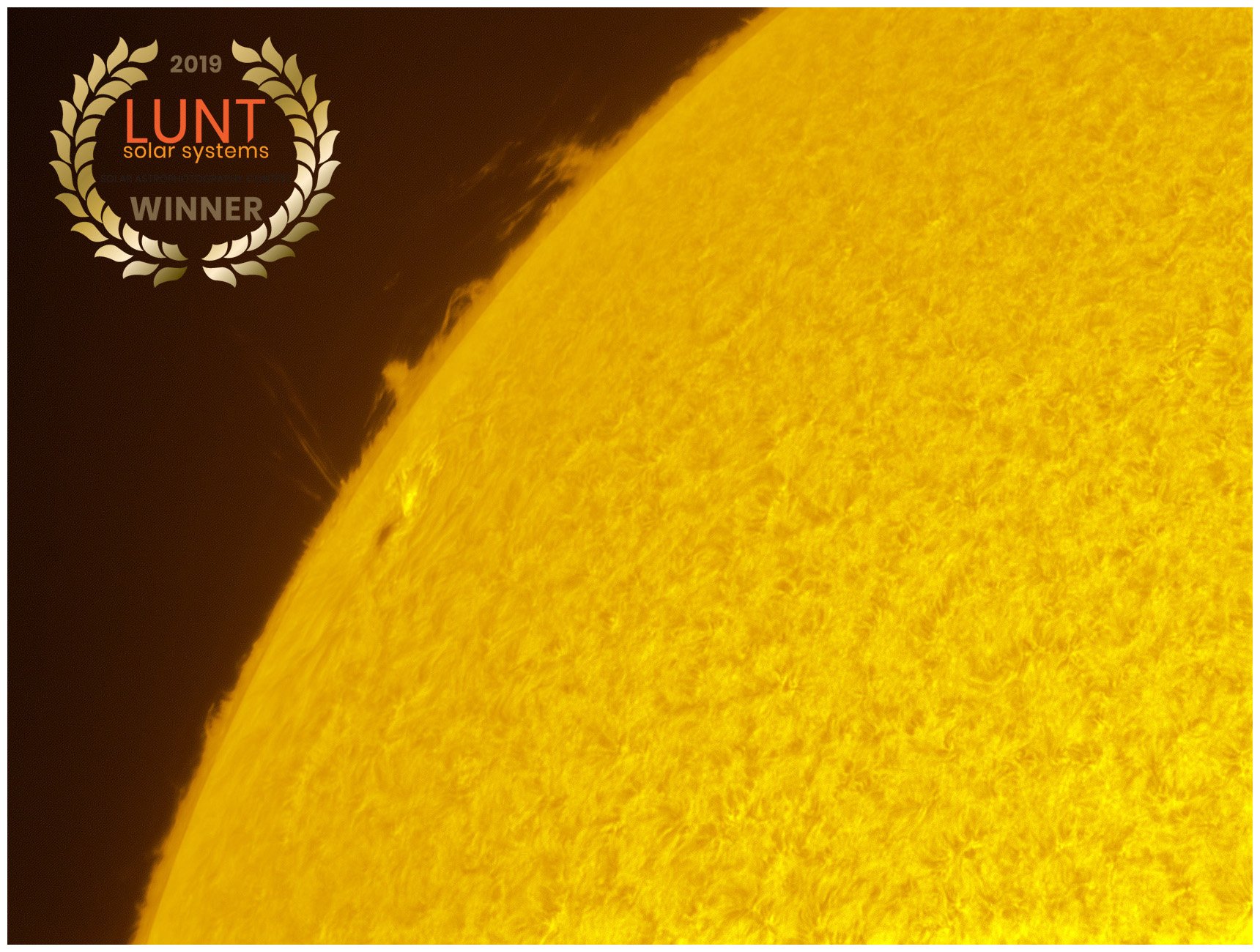 LUNT Solar astrophotography contest winner (2019)