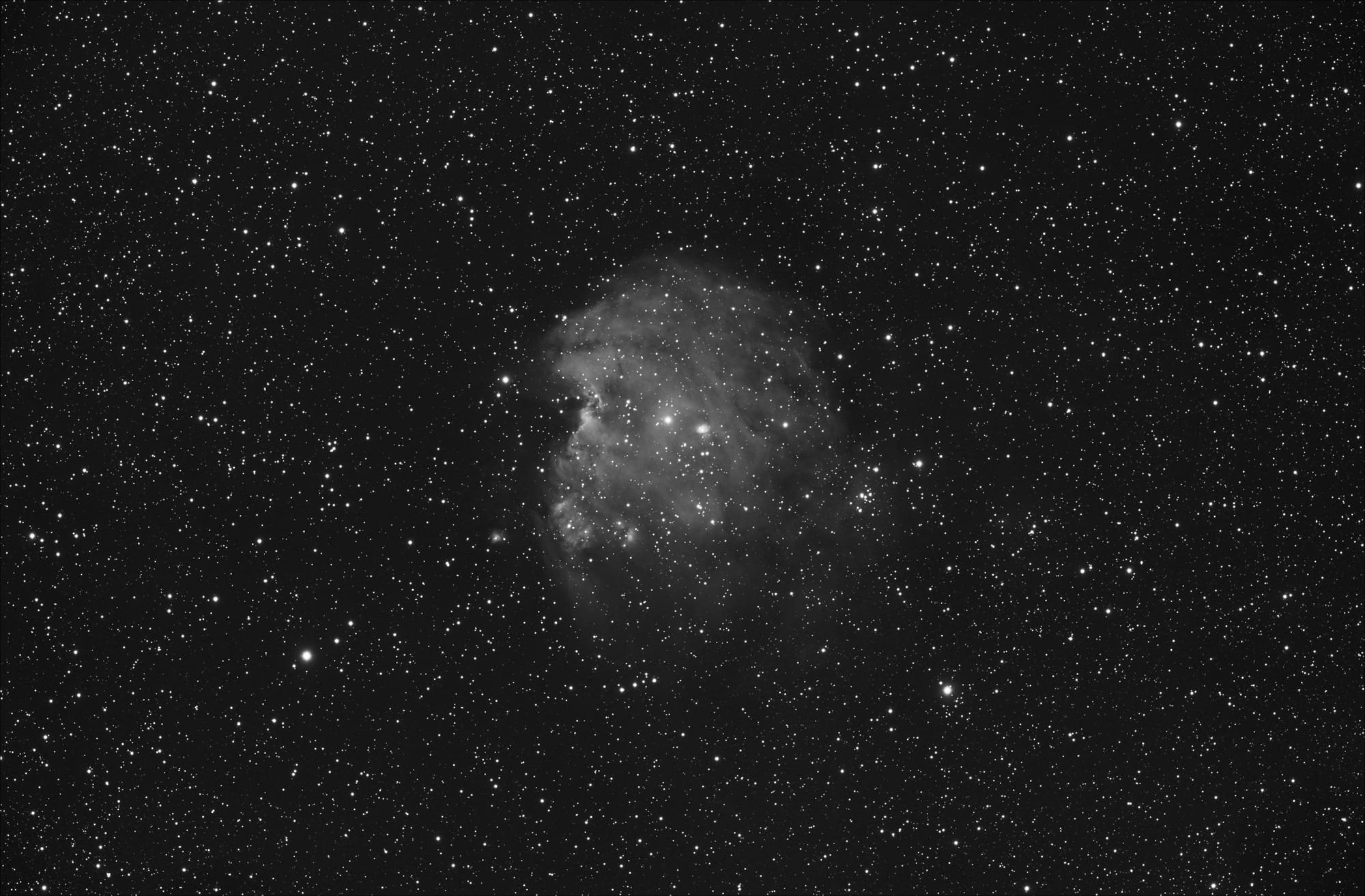 Monkey Head Nebula (NGC2174)