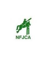 New Forest Cricket League
