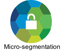 Mictosegmentation For Virtual Server