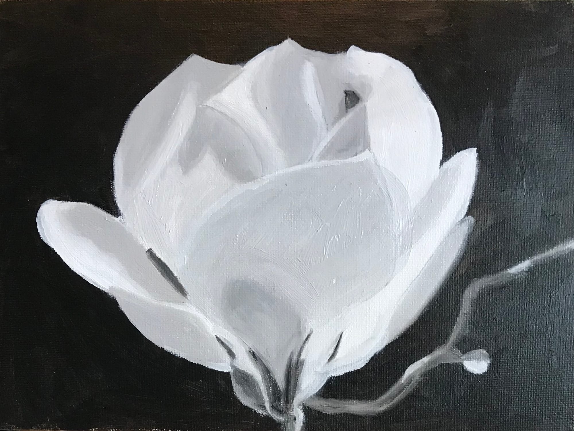 SOLD - My White Saucer Magnolia Flower