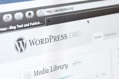 Tips for Finding the Right Wordpress and SEO Tutorial Services image