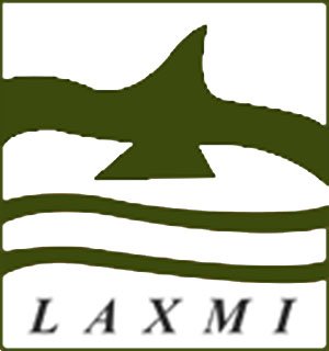 Laxmi Computers India