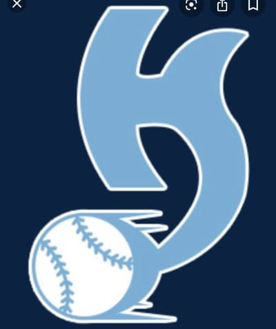 Carolina Hammerheads Baseball Club
