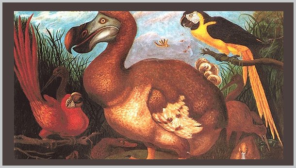 True facts on the Dodo bird and Extinction!