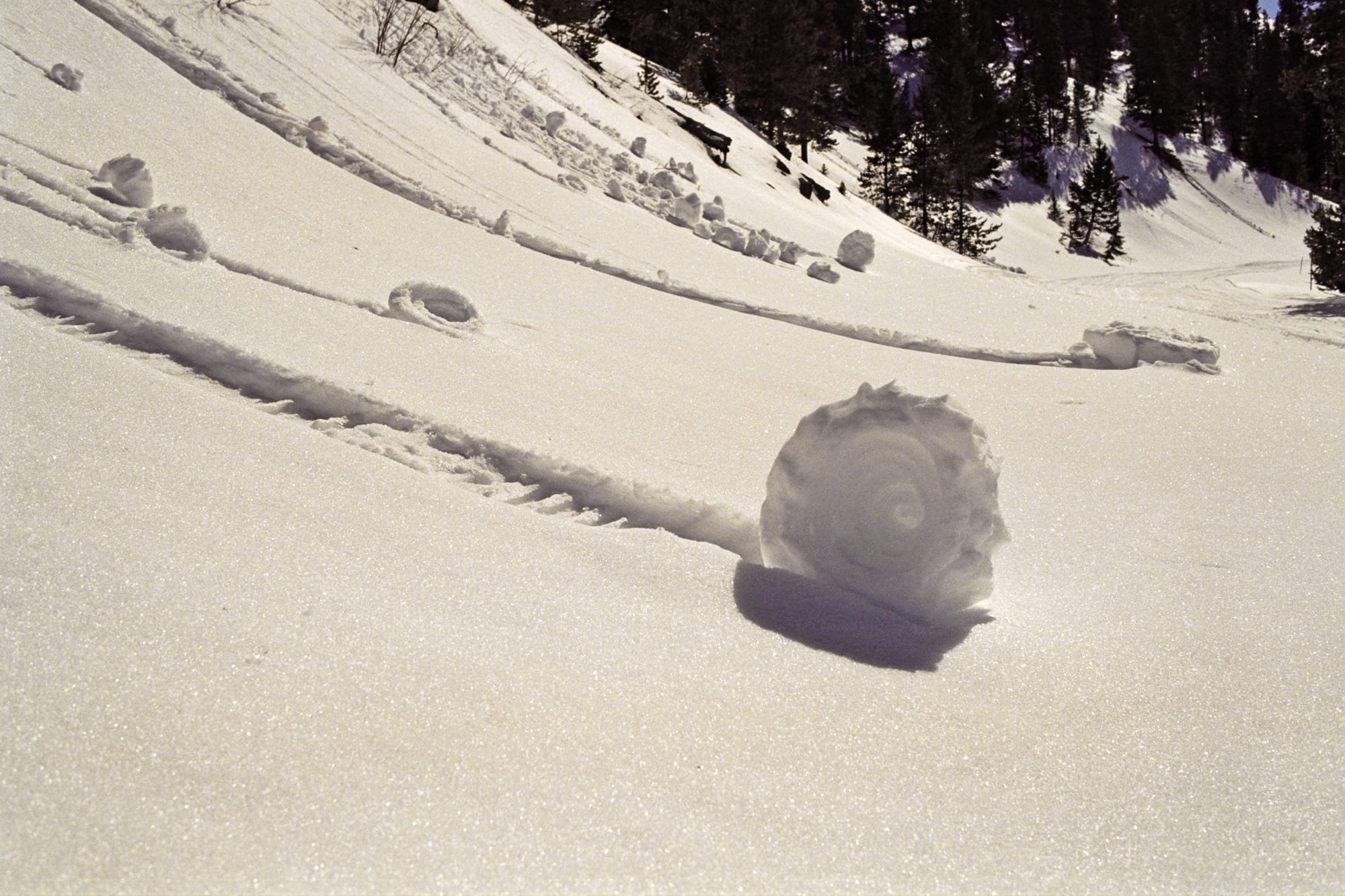 Fun Facts on Giant Self-Rolling Snow Balls
