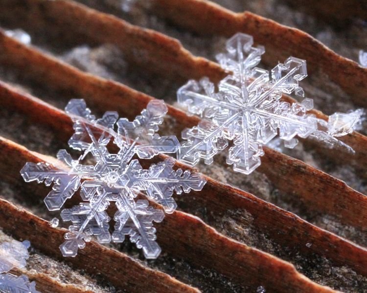 Amazing Facts About Snowflakes