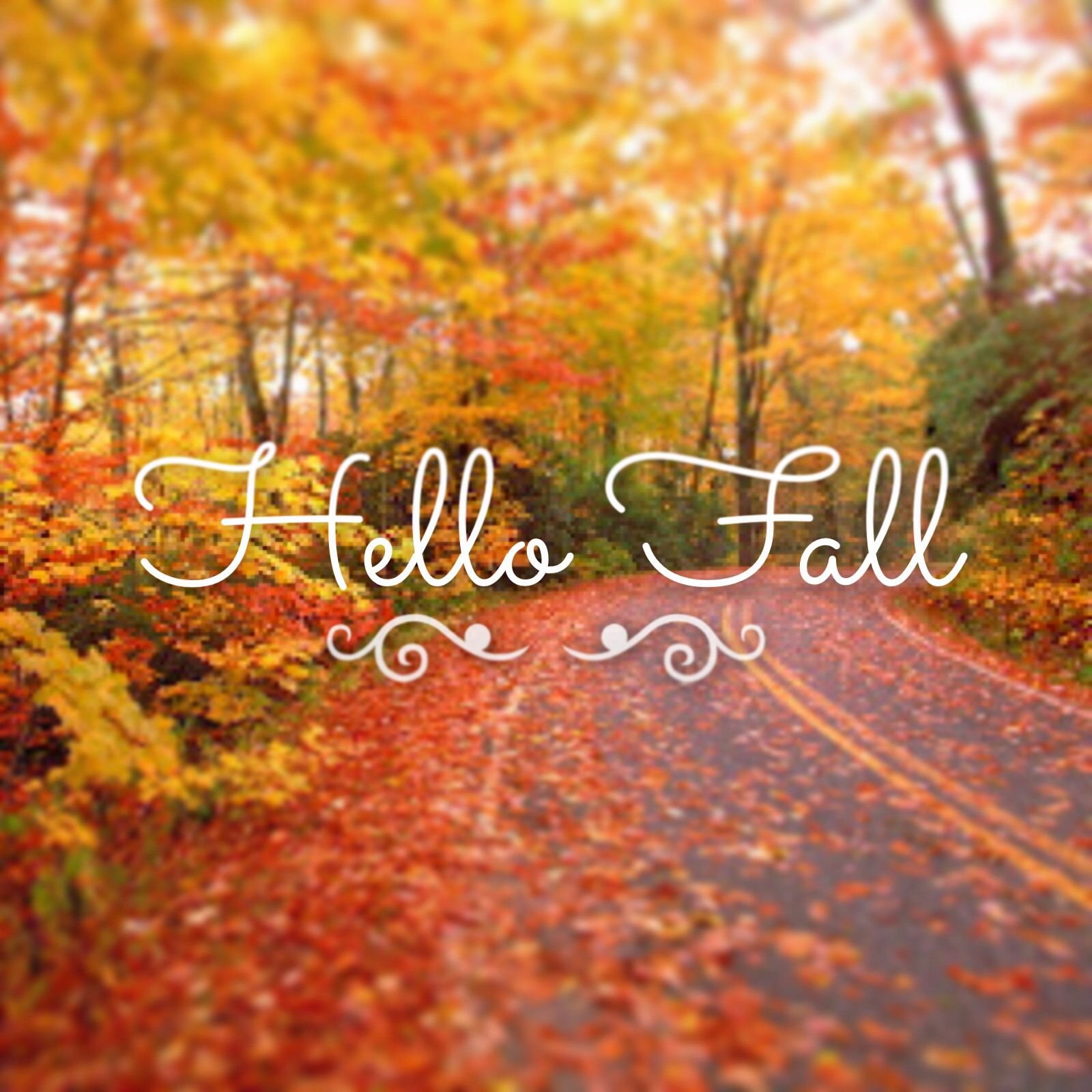 Cool facts about “Fall” in British!
