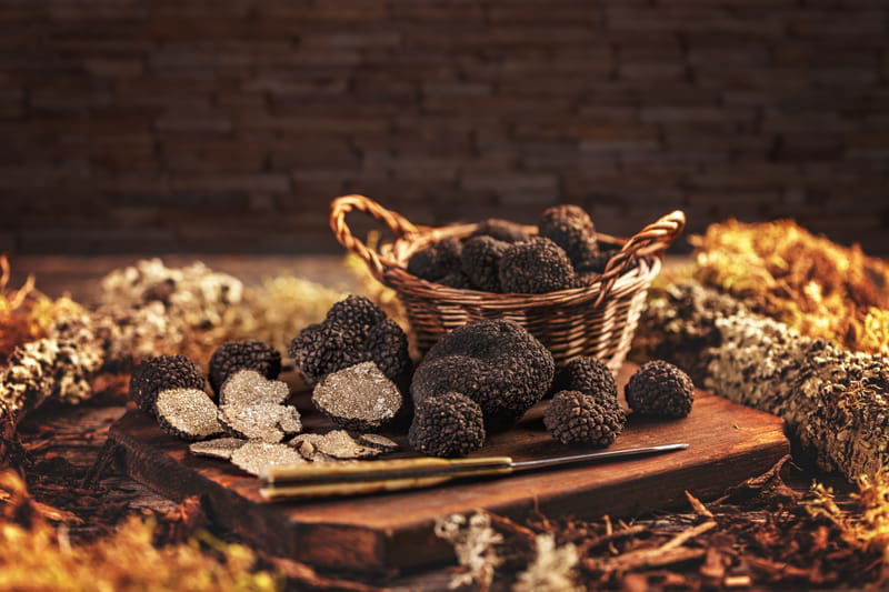 Spaghettis chitarra à la tapenade de truffe d’été