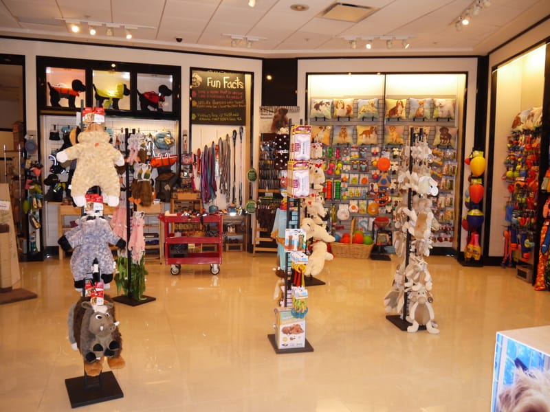 Cool Dog Gear Your Dog's Toy and Treat Store