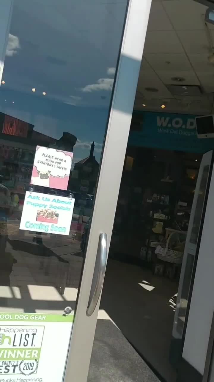 Cool Dog Gear Your Dog's Toy and Treat Store