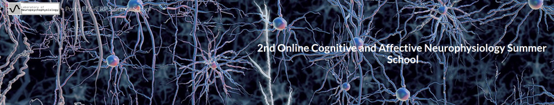 2nd Online Cognitive and Affective Neurophysiology Summer School