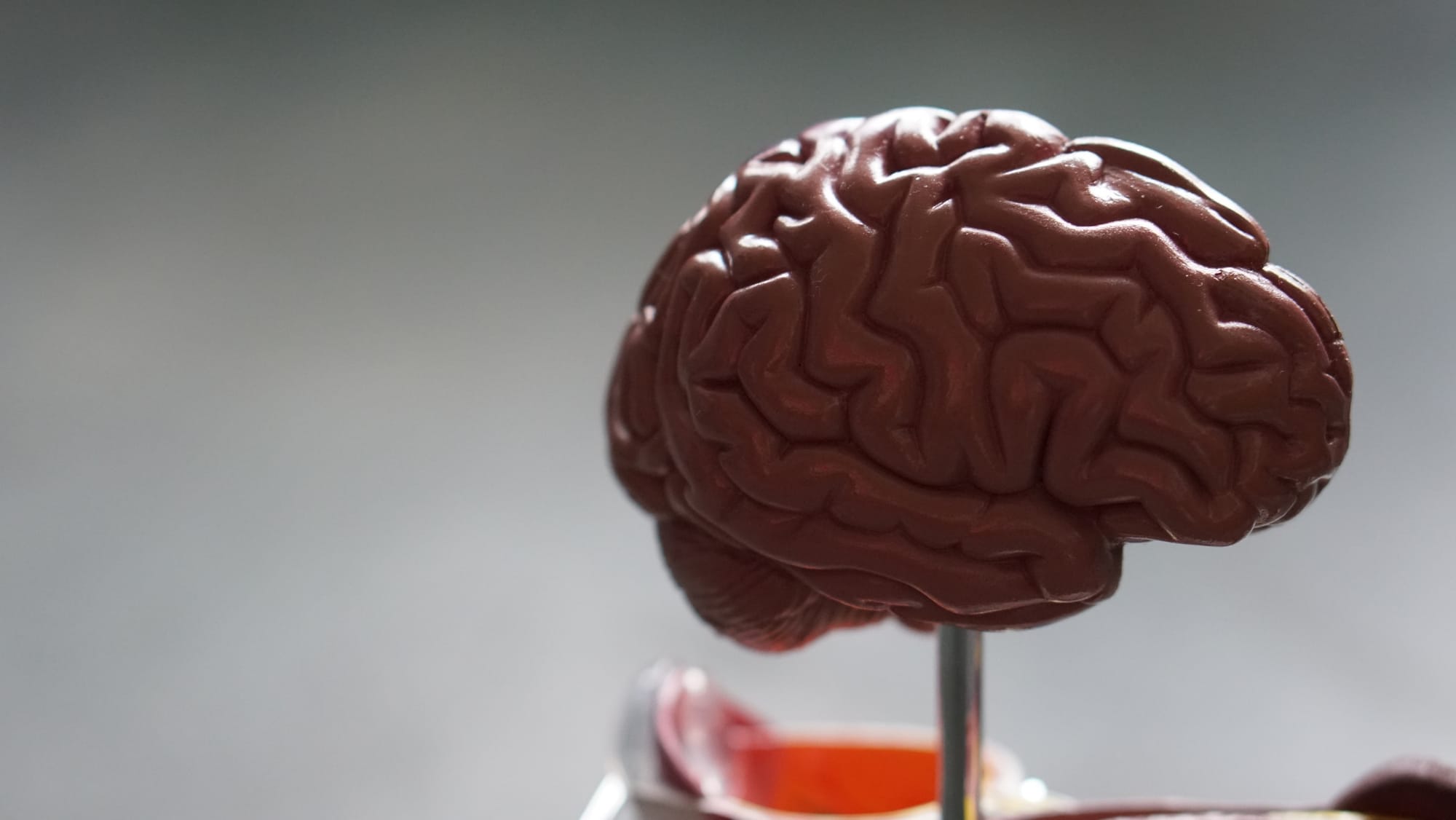 Man had hundreds of tapeworms in brain, chest after eating undercooked pork
