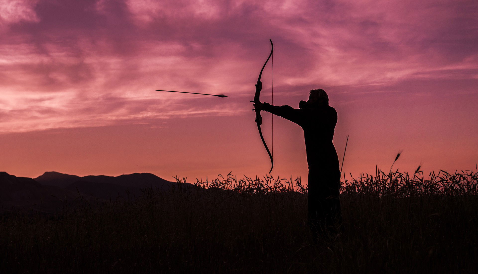 North Dakota hunter bags state-record moose with bow and arrow