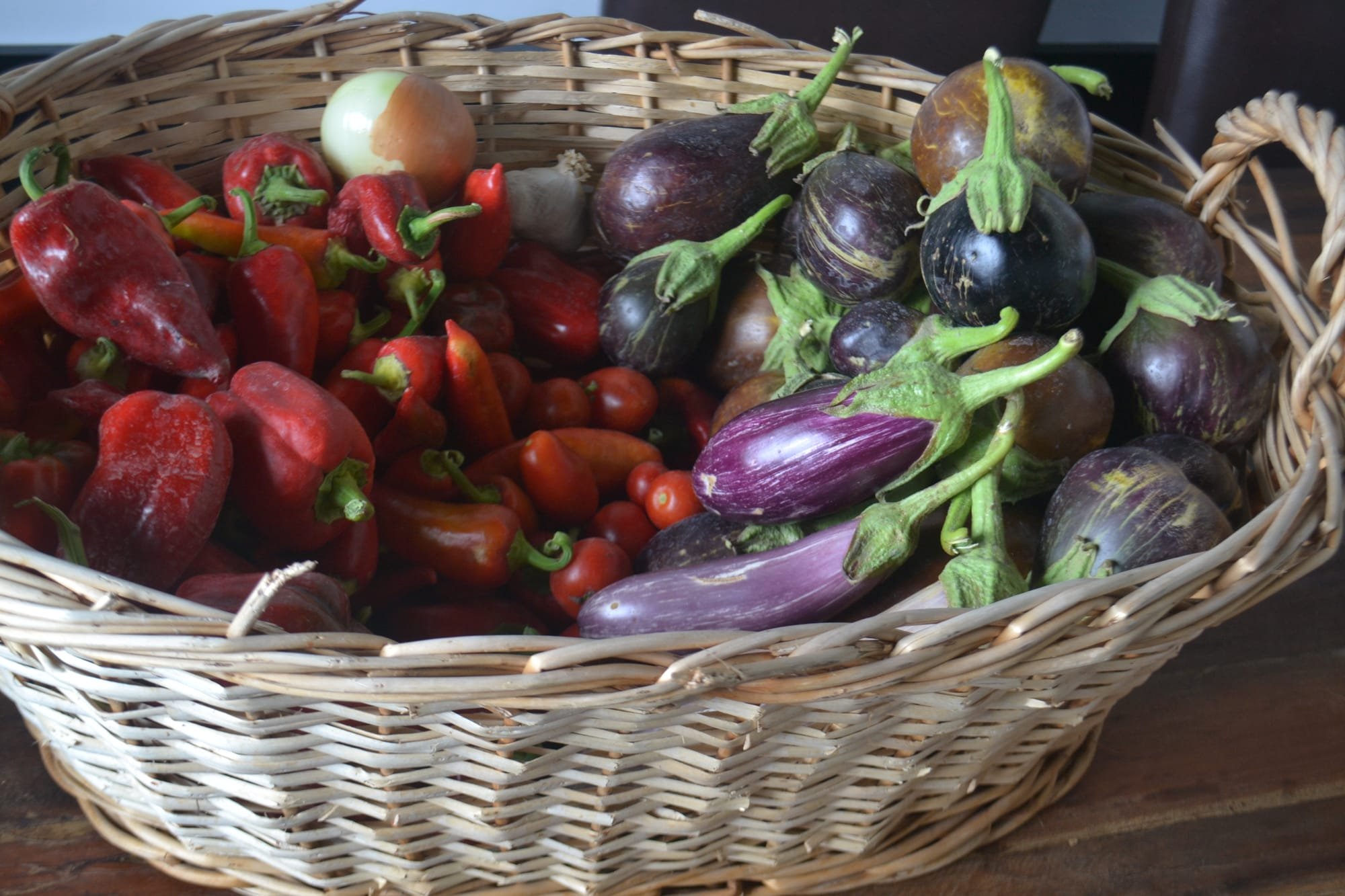 Growing Vegetables in South East Bulgaria