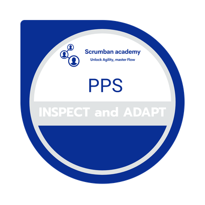 PROFESSIONAL PROBLEM SOLVER (PPS) INSPECT &amp; ADAPT CERTIFICATION image