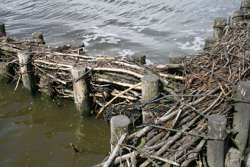 Faschinen-Baumpfähle, Eiche